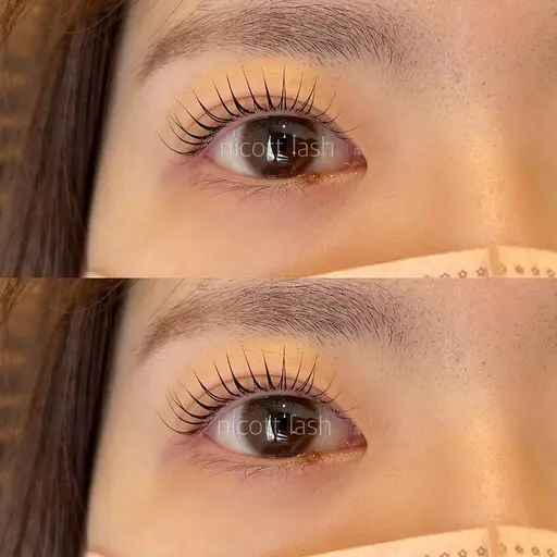 🌸11/24パリジェンヌ無料モデル🌸※補足説明を必ず確認してください⚠️研修スタッフが施術