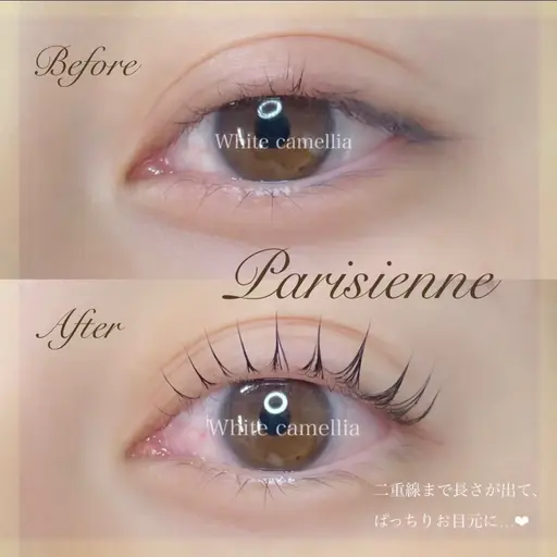 パリジェンヌラッシュリフト無料モデル様募集