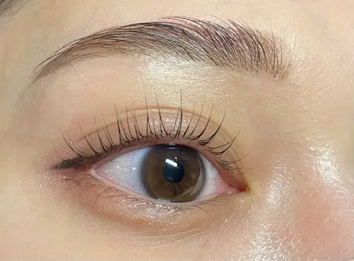 WAX&ブロウリフト✨毛流れがまとまらない、下がってしまう方は是非！！