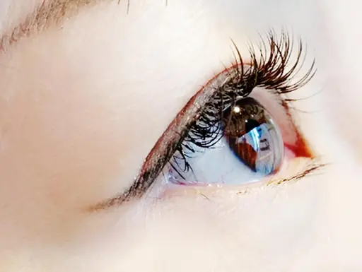 ＜オフ込＞まつげエクステ+トリートメント 100本