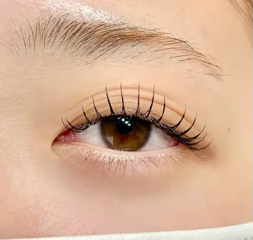 2/18・23のみ　シングルエクステ　フル装着　付けられる全てのまつ毛に装着