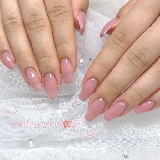 ワンカラー/グラデーション‎❣️