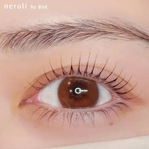 🫧minimo限定価格🫧パリジェンヌラッシュリフトorラッシュリフト¥5,980