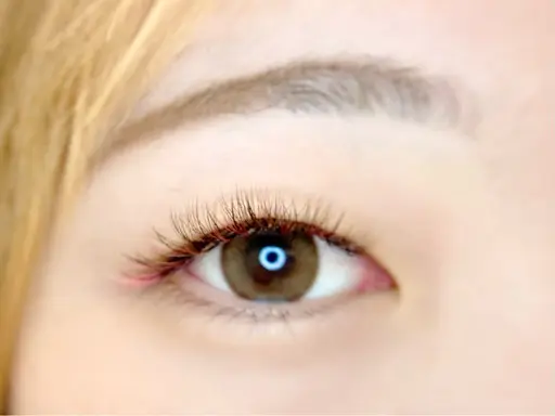 🫧アイブロウスレッティング(眉のみ)