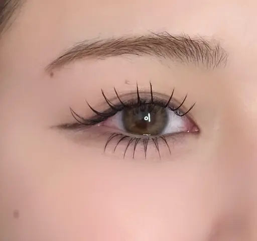 11月限定‼︎下まつ毛エクステ　​〜​40本