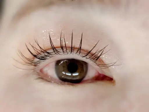 【無料モデル 】まつげエクステ 120本(仕上げコーティング付き)