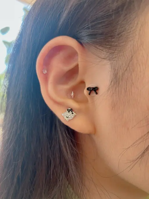 【💫12月限💫】耳つぼジュエリー🎀꙳.
