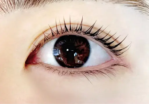 🧸ご新規様限定🧸大人気パリジェンヌラッシュリフト(パリジェンヌ)✨根元からしっかりと立ち上げて目力UP❣️