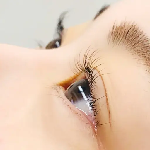 ❤️新規❤️ラッシュリフトまつ毛カール(究極のトリートメント付)新規メニュー現金決済のみ