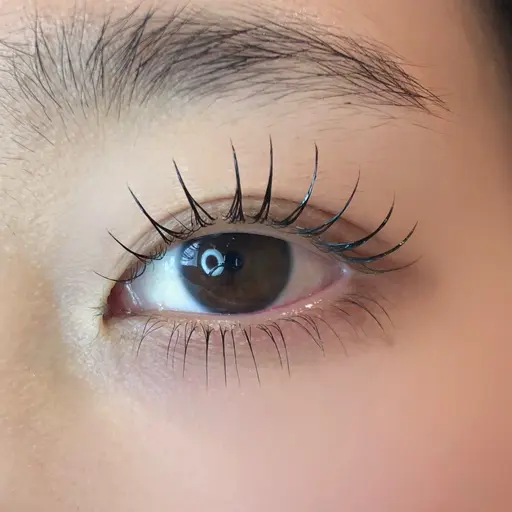 【当日限定】パリジェンヌラッシュリフトorラッシュリフト