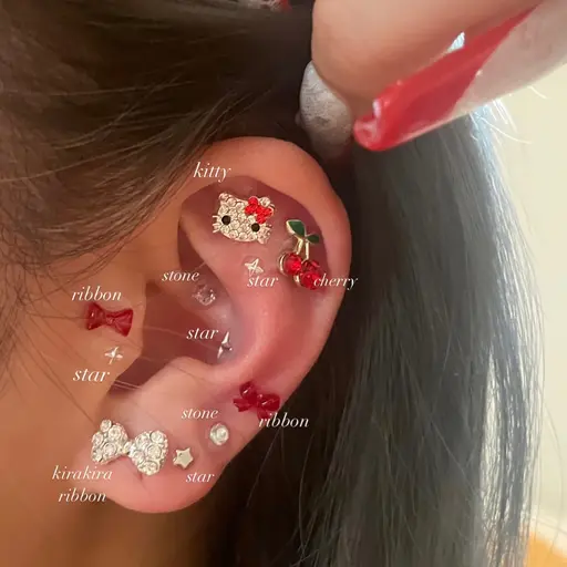 耳ツボジュエリー10粒