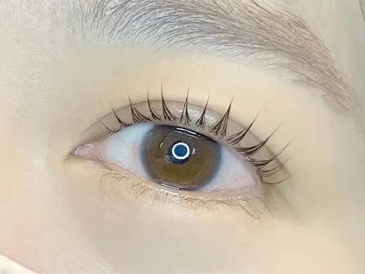 💠アイブロウワックス脱毛➕まつげパーマ(パリジェンヌ+550円)💠 【まつげパーマ/パリジェンヌ/浅草】