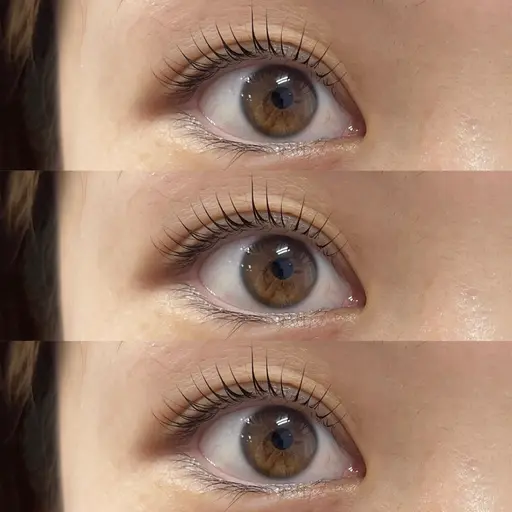 【初回】パリジェンヌorまつげパーマ🪽