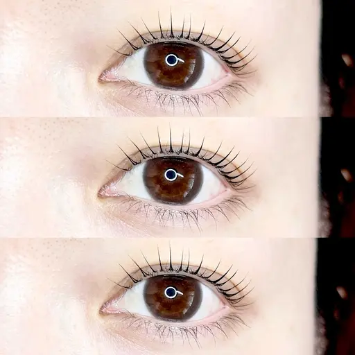 🆕🩶【 限定価格 】まつ毛パーマ上のみ