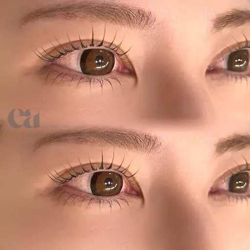 パリジェンヌラッシュリフト or まつ毛パーマ🎀🫧