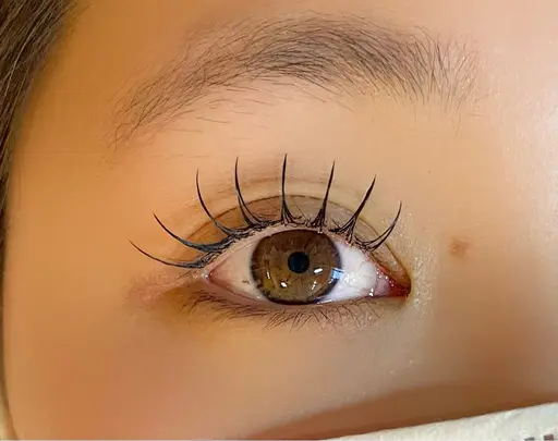 【期間限定セットメニュー】フラットラッシュ120本+ラッシュアディクト ミニモポイント利用可⭕️