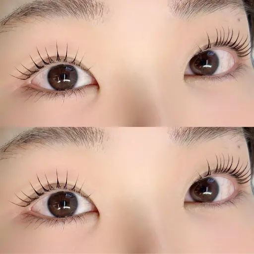 【3/17 12:30〜 限定】まつ毛パーマ(上)