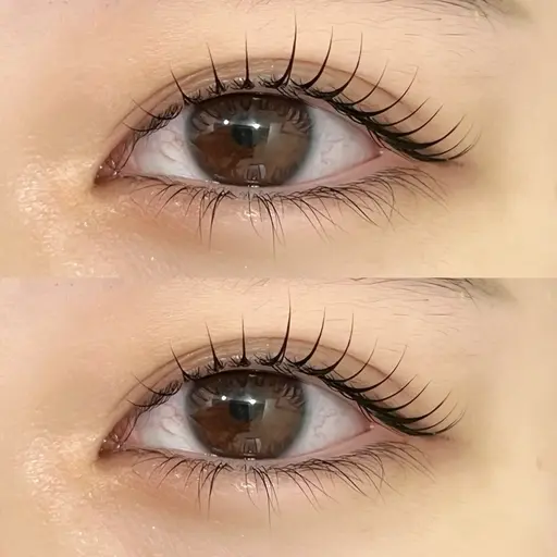 🫧当日予約限定 ラッシュリフト（まつげパーマ）コーティング仕上げ🫧