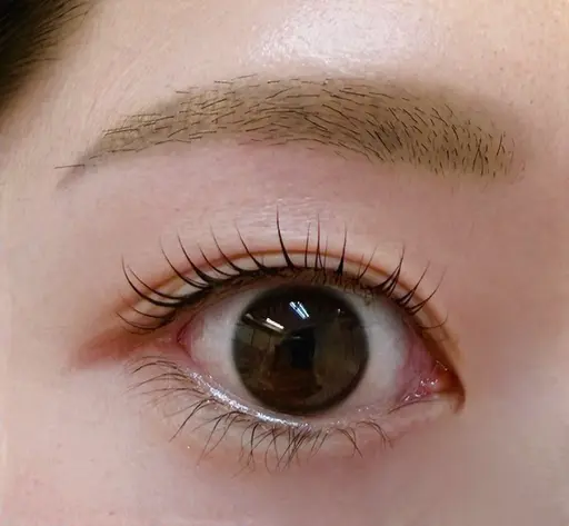 🫧まつ毛パーマモデル様募集🫧 2/4 水曜日 17時30分〜🈳あり!!⚠️注意事項必須⚠️