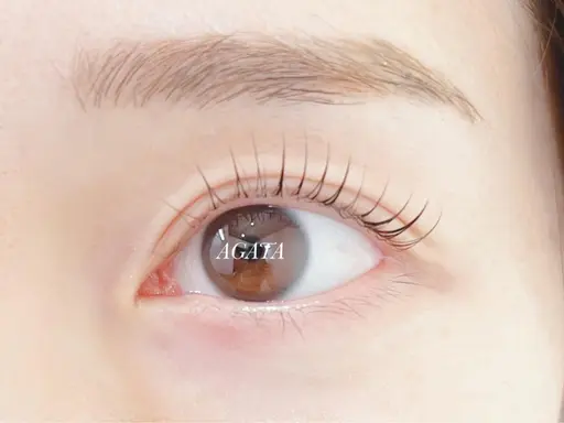 ⭐️まつ毛パーマ・ラッシュリフト、トリートメント+アイシャンプー付き⭐️ミニモ限定価格