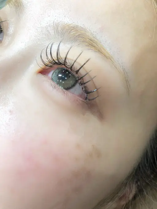 ❤️フラットラッシュ100本❤️LED対応🉑