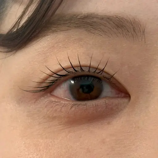 【限定無料モデル】額or口周りWax➕ラッシュリフト🪞🍃 ※技術向上の為ご協力いただける方のみ