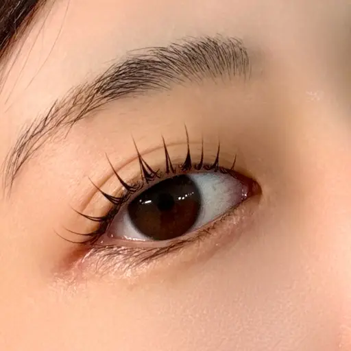 当日限定🌟2STEPケラチントリートメント付ラッシュリフトorパリジェンヌラッシュリフト🍓