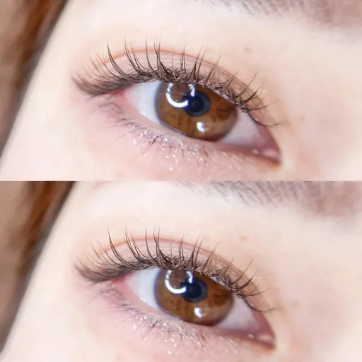 【モニター募集🟦指定日限定】ダブルフラットラッシュ50束(100本)コーティング付 ※オフ有+550円