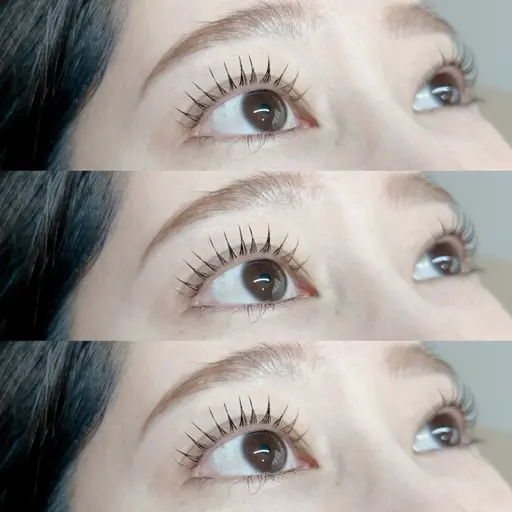 マツパ(エクステオフ550円)