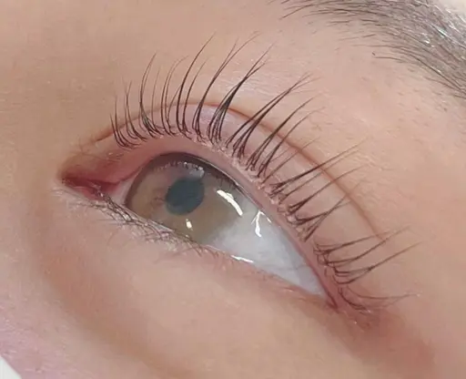 パリジェンヌ orラッシュリフトカール[上or下]