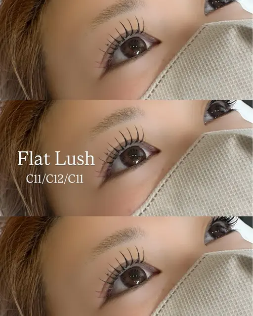 フラットラッシュ80本