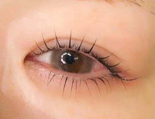 【ﾀﾞﾒｰｼﾞ減×高持続】次世代ﾗｯｼｭﾘﾌﾄ(上)