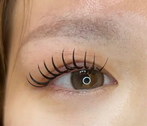 フラットラッシュ120本×＆healthy￥8000