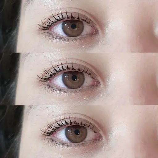 【本日11:30】まつ毛パーマ(ラッシュリフト)モデル募集