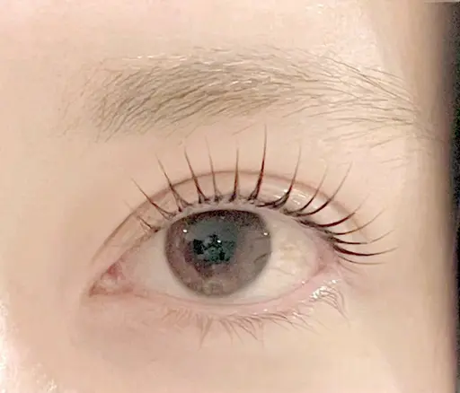 ご新規様限定♥まつ毛パーマ+トリートメント【土日祝➕500円】