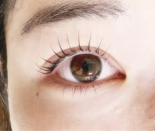 お得価格！！まつ毛パーマ🌟＋トリートメントコーティング付き💗