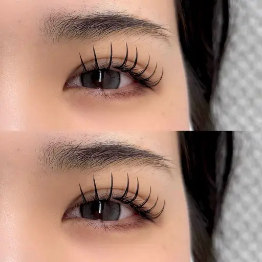 【LJ.LC.LDカール限定】W flat lash〈120本〉