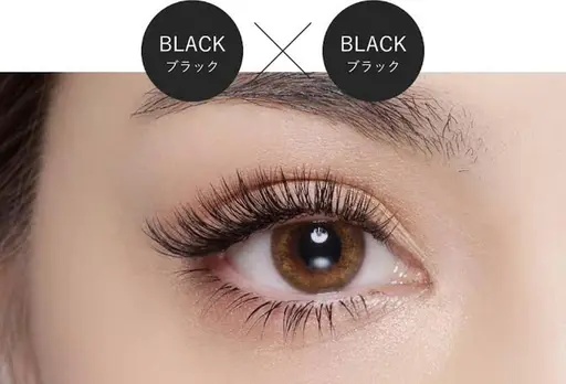 【濃さ&持続力No1💛】Lカール有/簡単に束が作れる🌈ダブルフラット60束120本🧸クリアコーティング付き🫧