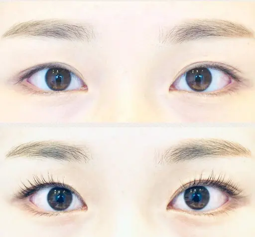 【マツパ】2026.2.9（月）14:00～16:00　上まつ毛パーマ　モデル募集　０円