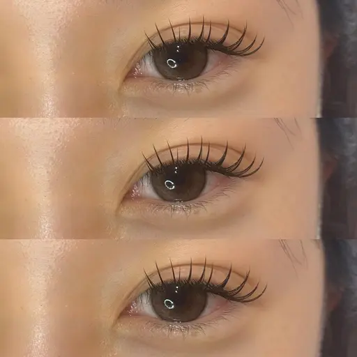 【条件必須】撮影モデル シングル160~180本🫧