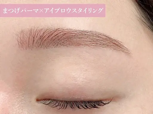 🕊🤍 アイブロウスタイリング  🤍🕊（ワックス脱毛）【詳細ご確認ぐださい🙇‍♀️】