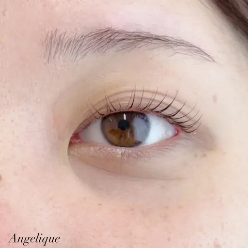 🤍ラッシュリフトカール~お仕上げコーティング付き~🤍