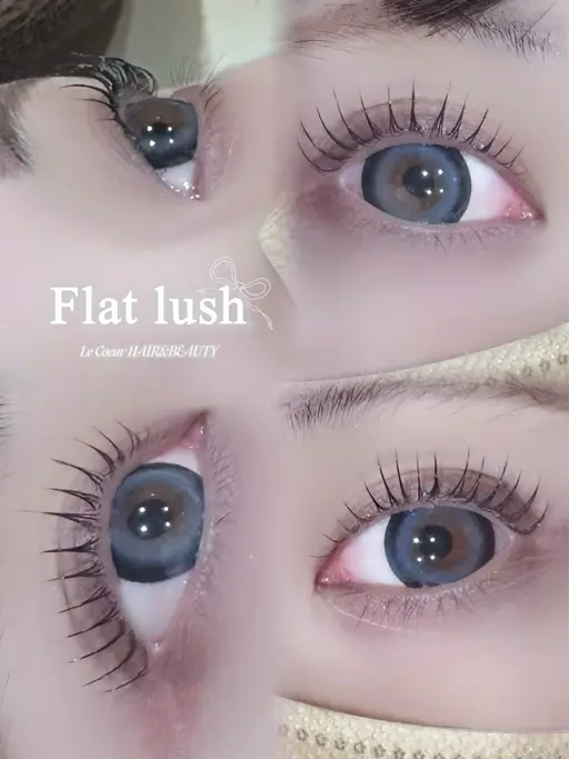 22日限定‼️ラッシュリフト➕美眉WAX