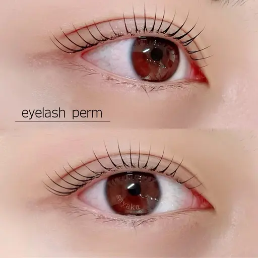 ４月1​〜​15日平日限定❗️【まつ毛パーマ練習モデル】デザイン多数♪モデルでの再来◯顧客様不可/ビフォーアフターお写真必須