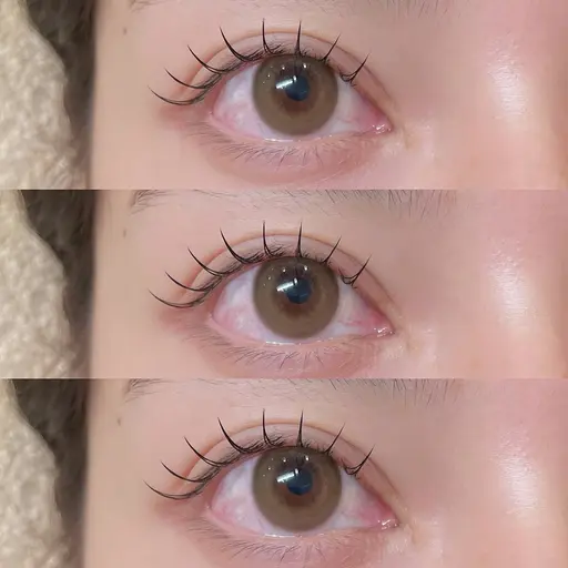 【🌸ご新規様限定🌸】flatlush100本までつけ放題✨