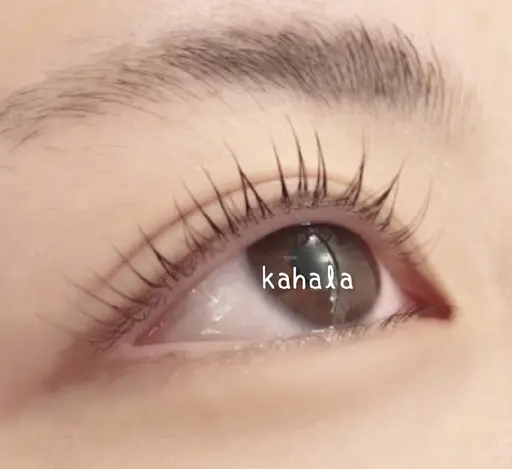 ラッシュリフト (上下)¥8500→¥5500/80分