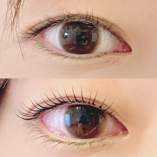 【通常価格】まつ毛パーマ🌟コーティングお仕上げ付き🪄