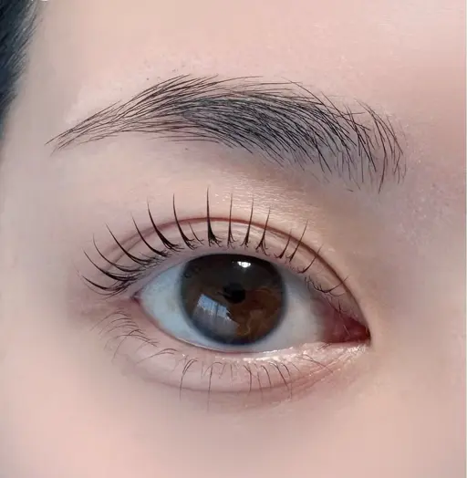 【当日予約OK】まつげパーマ+眉毛WAX(トリートメント付)¥5500