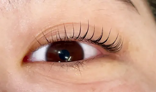 ✨まつ毛パーマ(アイシャンプー付き)5.500円→4,400円✨