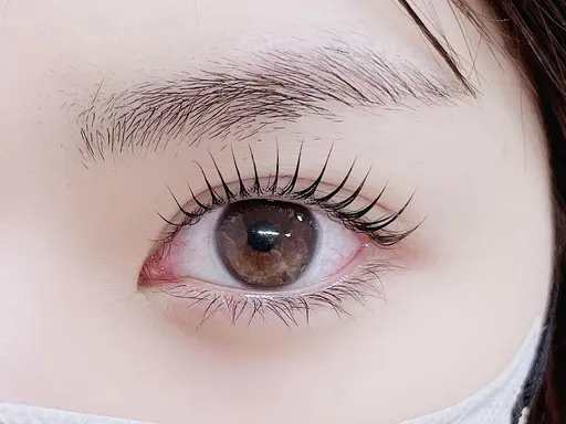 【口コミお願い☆1月限定☆】パリジェンヌラッシュリフトorパーソナルラッシュリフト